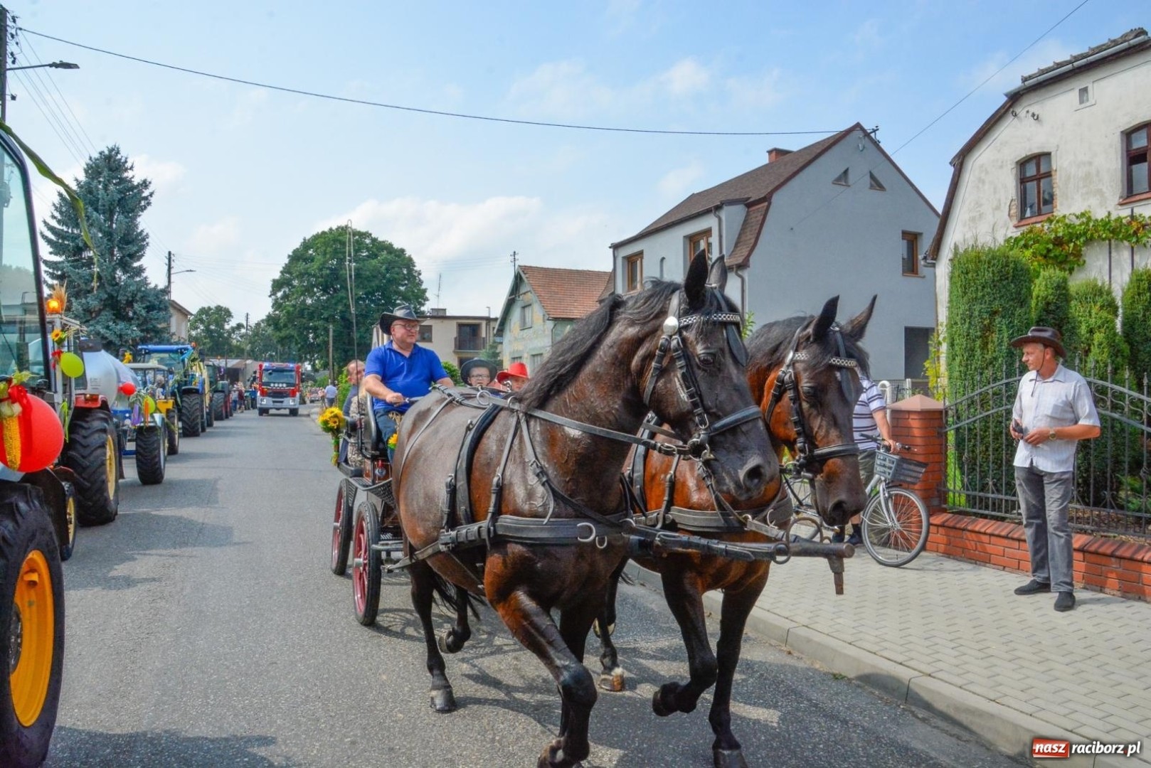 Festiwal Złotego Kłosa i Dożynki 2025 w Krzanowicach – polsko-czeskie święto plonów i kultury