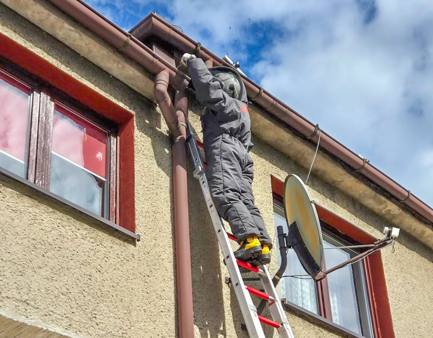 Strażacy w akcji: szerszenie i awaryjne otwarcia mieszkań w powiecie raciborskim