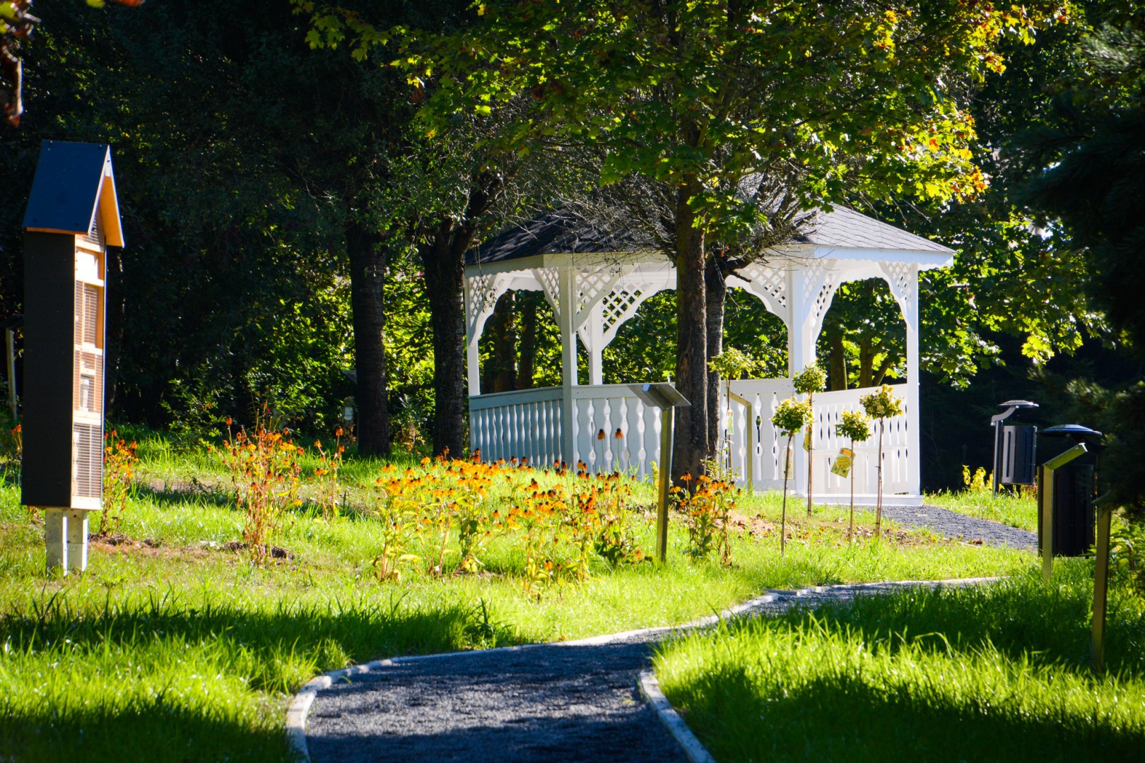 Nowe, wyjątkowe miejsce na mapie powiatu raciborskiego. Z rajską jabłonią