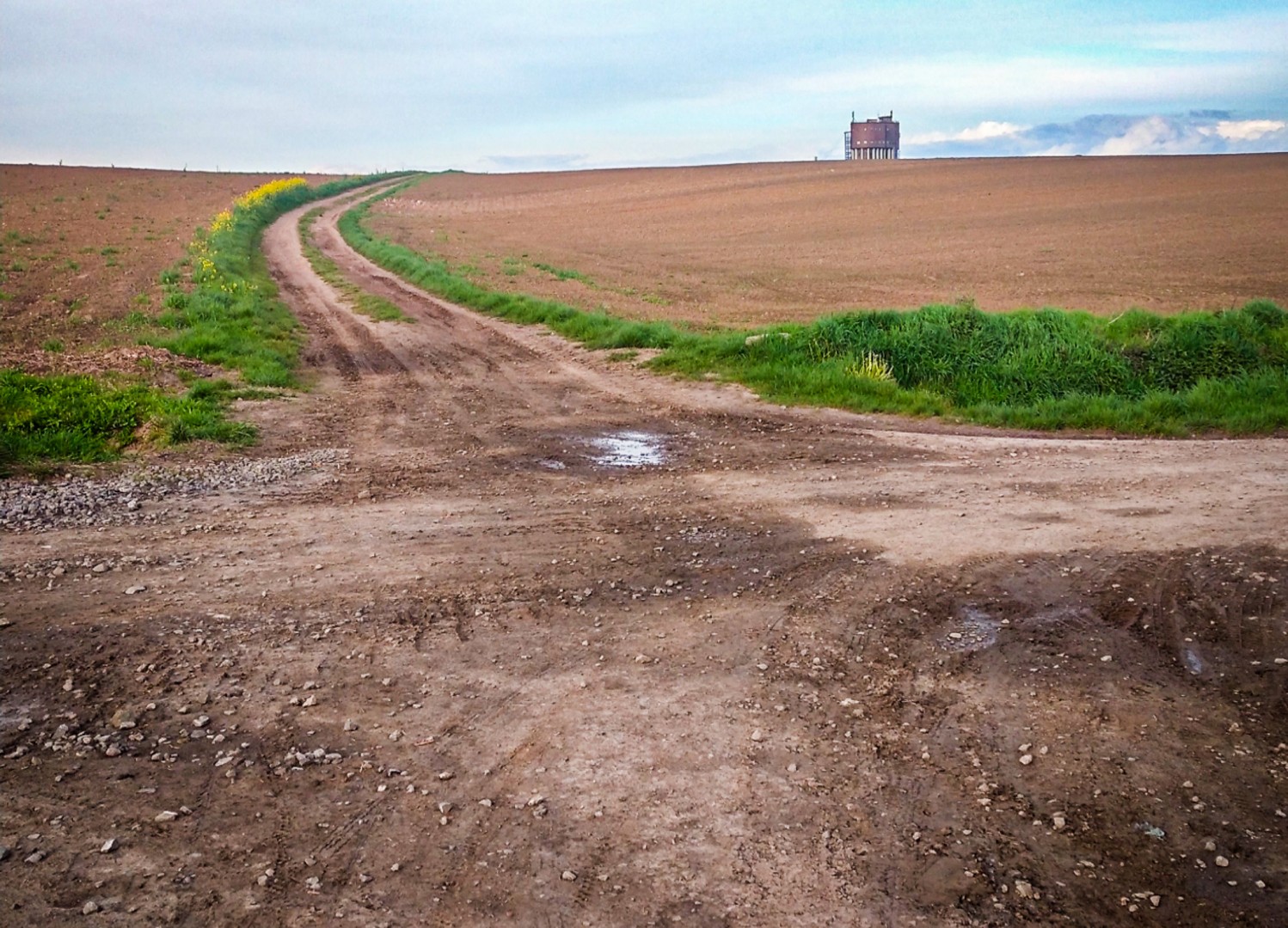 Racibórz modernizuje drogę dojazdową do gruntów rolnych – ogłoszono przetarg