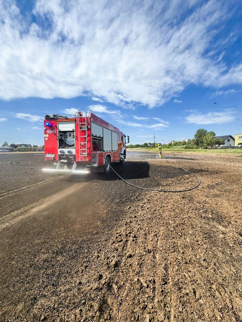 Pożary ściernisk, silny wiatr i interwencje przy gniazdach szerszeni – intensywny dzień dla strażaków