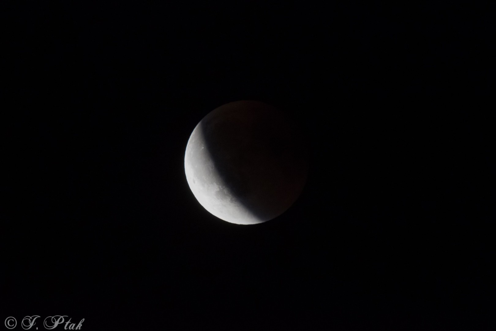 Nocne obserwacje nieba w Raciborzu – mieszkańcy oglądali całkowite zaćmienie Księżyca