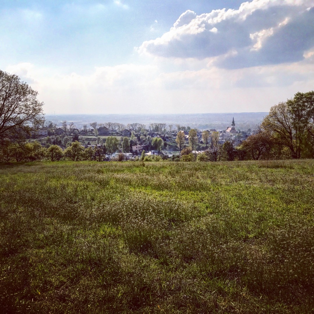 Korony Brzezia – propozycja nowego szlaku edukacyjnego i krajoznawczego