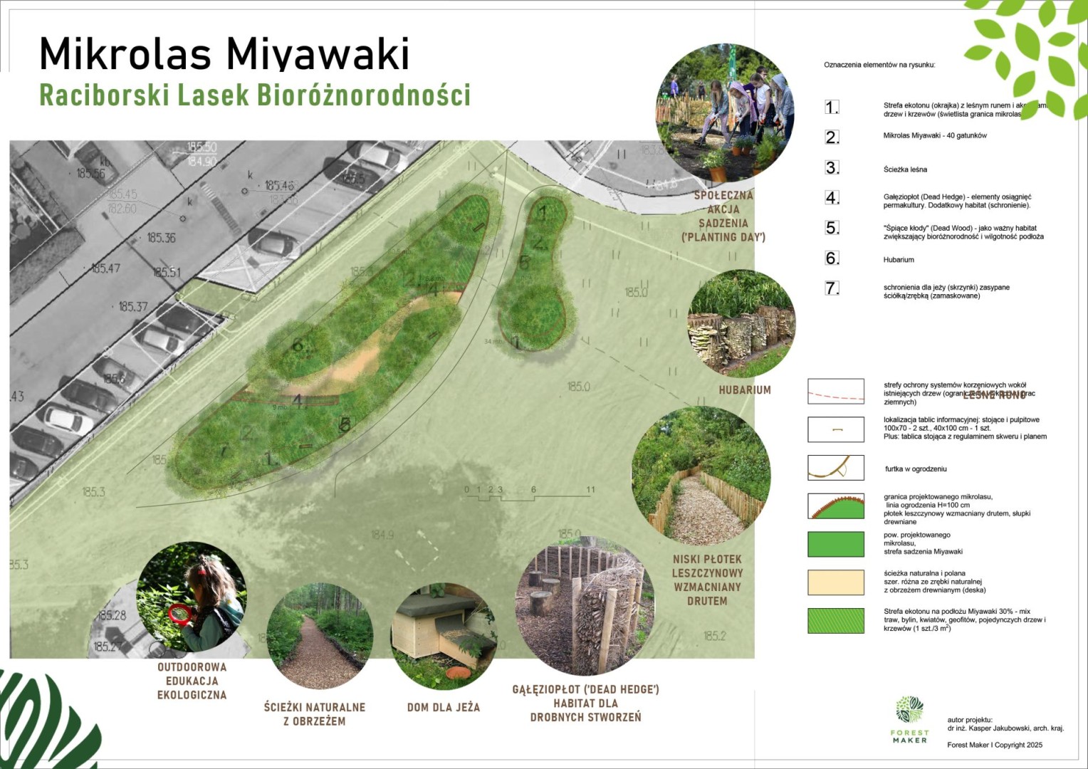 Zielona rewolucja w Raciborzu – wspólne sadzenie Mikrolasu Miyawaki