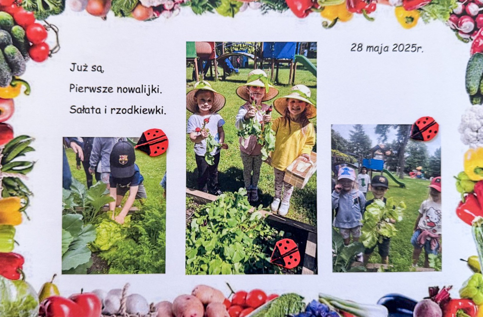 Rozstrzygnięto konkurs Z pamiętnika małego ogrodnika