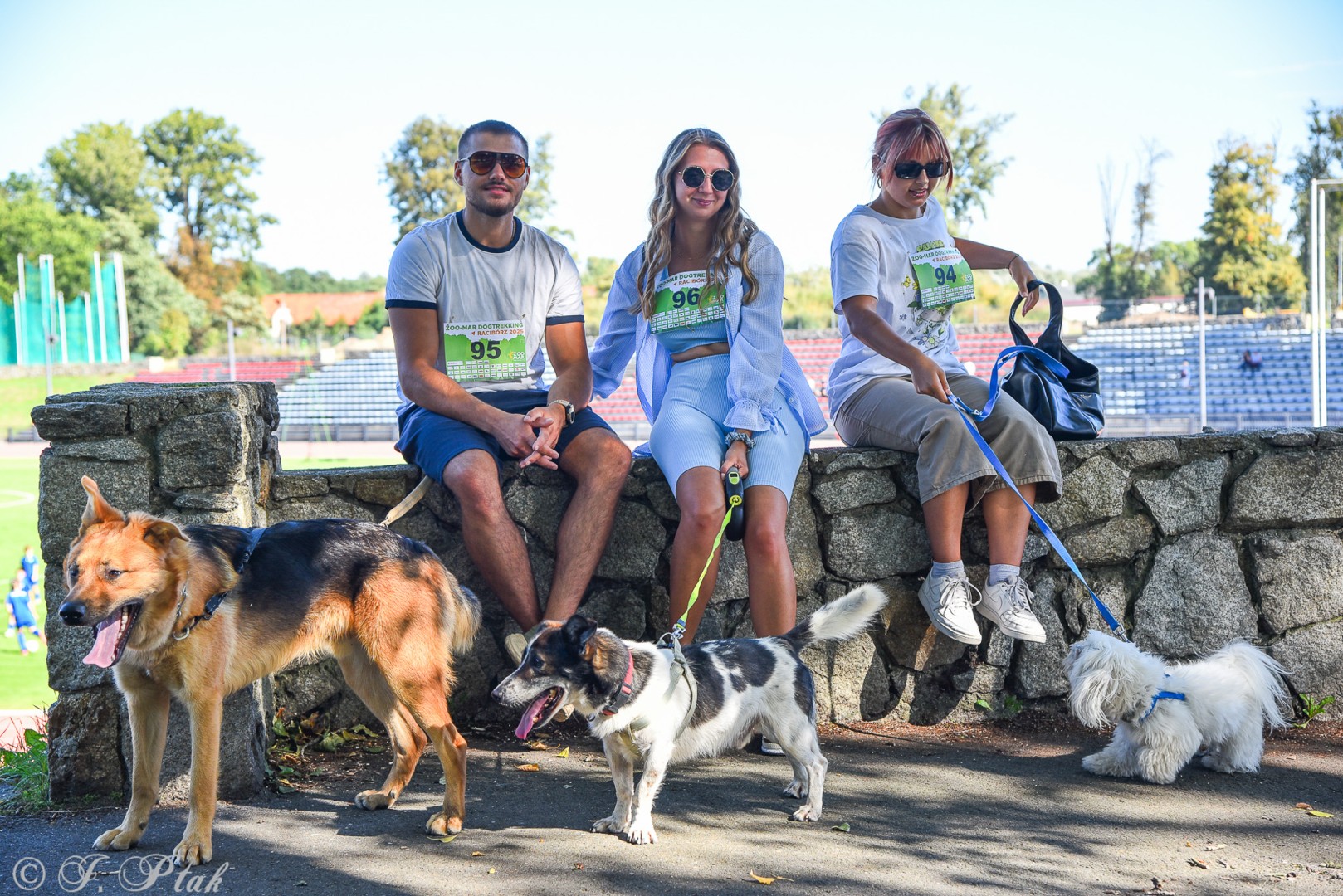 Dogtrekking w Raciborzu przyciągnął miłośników czworonogów [FOTO]