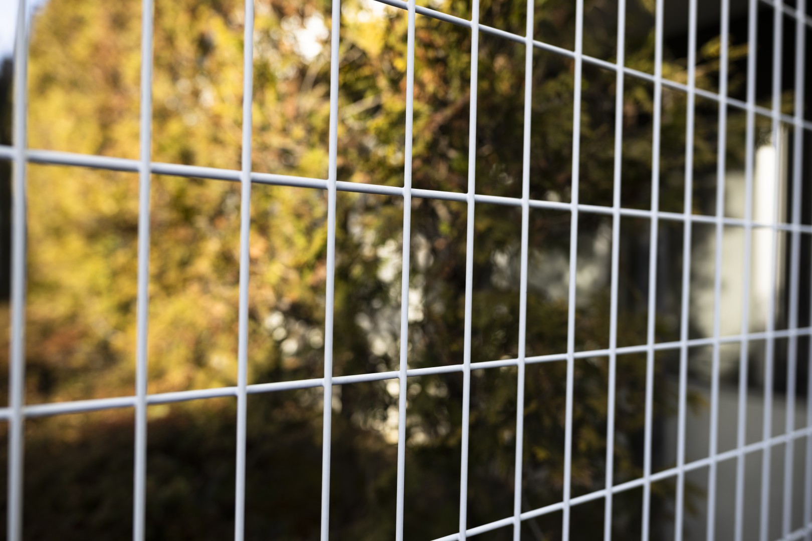 Jak ogrodzenie budowlane chroni Twoją inwestycję przed kosztami i kłopotami?