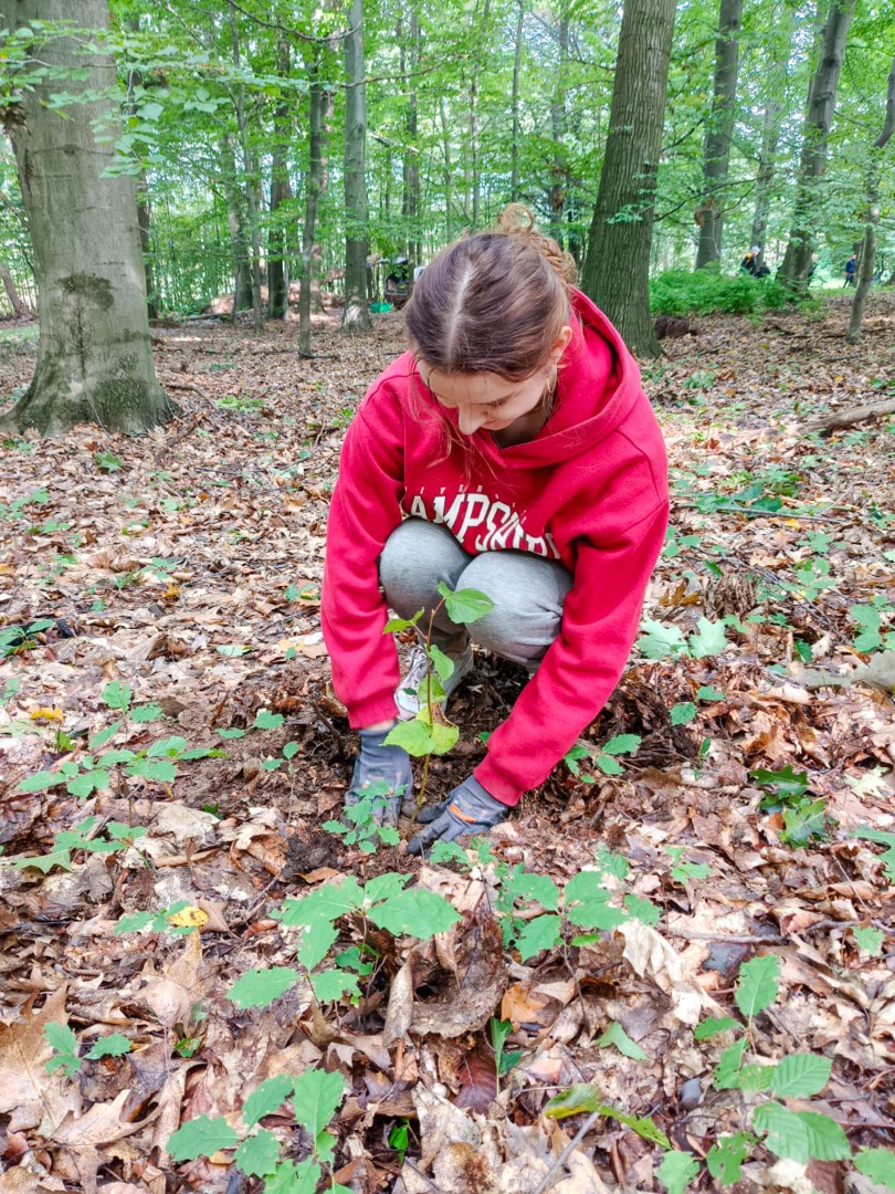 250 nowych drzew w Arboretum Bramy Morawskiej – wspólna akcja dla natury