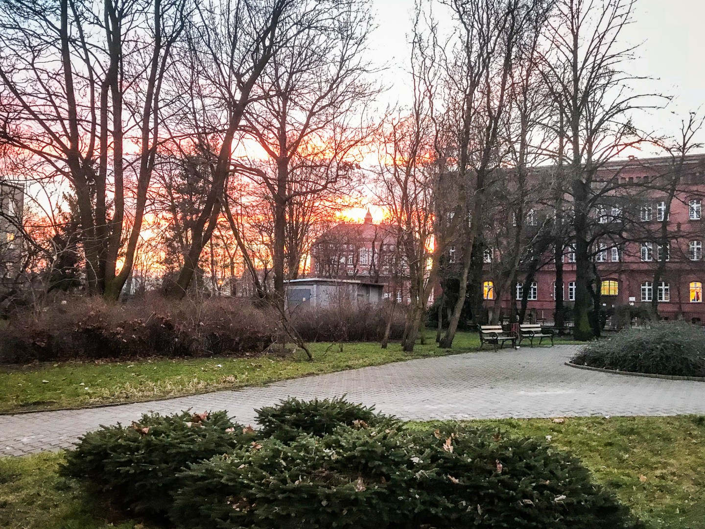 Skwer przy Wojska Polskiego-Karola Miarki ma patrona – Clausa Ogermana