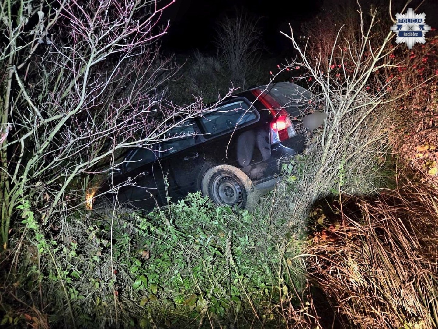 Nocna akcja policji w rejonie zbiornika Raciborza. Desperacka ucieczka 33-latka [WIDEO]