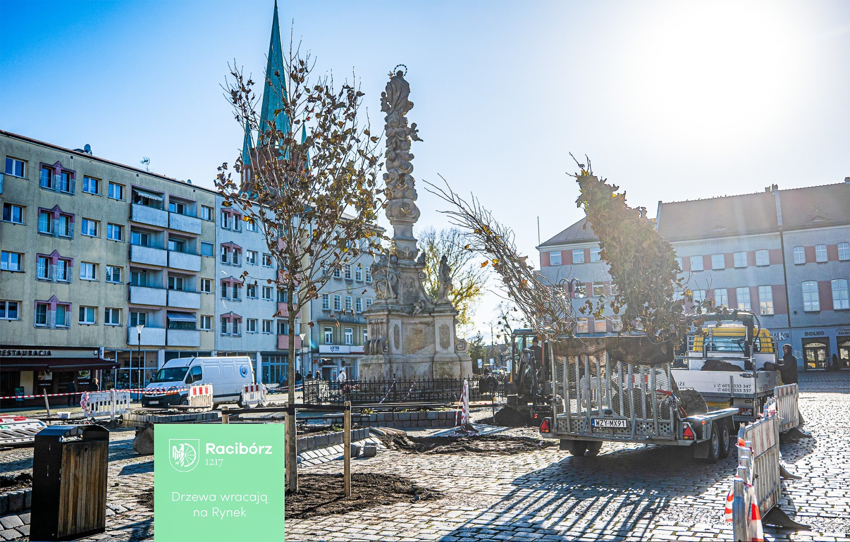 Ile kosztowały drzewa na Rynku? Prezydent pokazuje rachunek