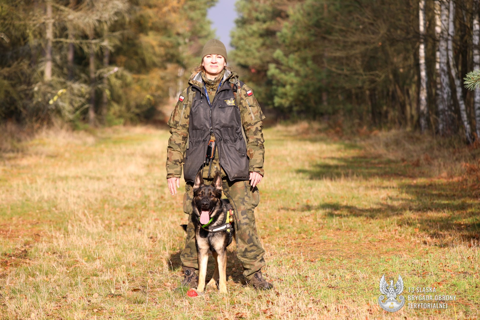 Trudne egzaminy dla psów służbowych w Kuźni Raciborskiej