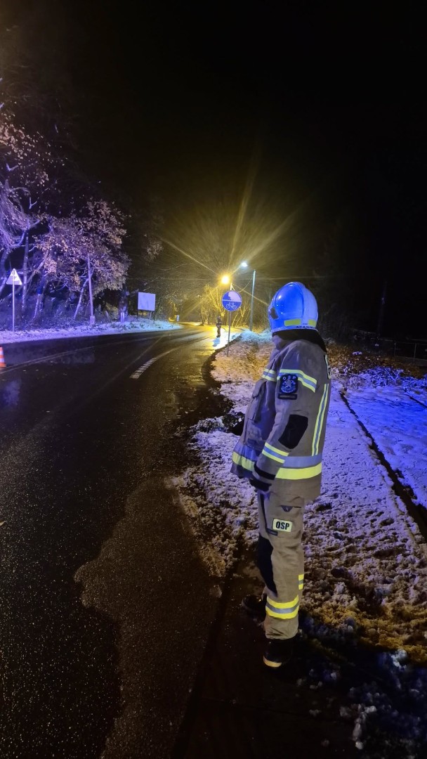 Samochód wypadł z jezdni na ul. Brzeskiej w Raciborzu. Interweniowały służby