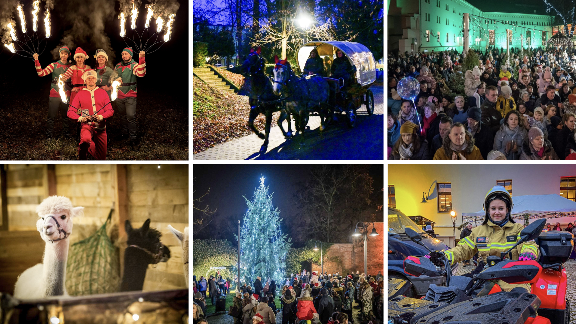 Wielki finał Bajkowego Zamku 2025 – żywa szopka, mikołajkowe fire show i przejażdżki bryczkami [PROGRAM]
