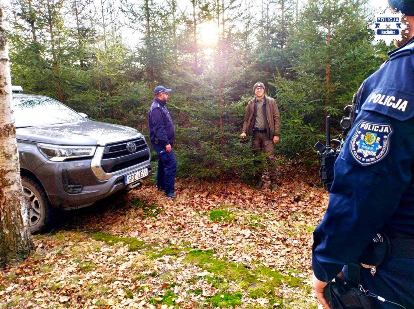 Policja apeluje: Jak choinka, to tylko z legalnego źródła