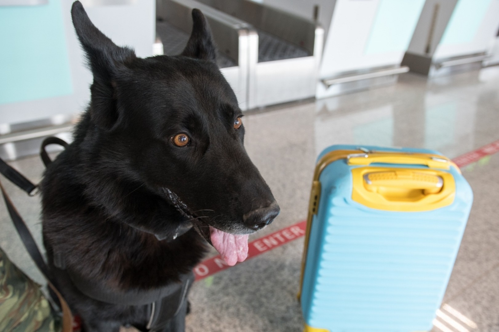 Weekend na lotnisku w Katowicach-Pyrzowicach