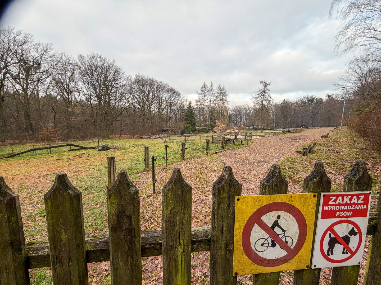 Trwa wielka przebudowa w Lesie Obora [FOTO]