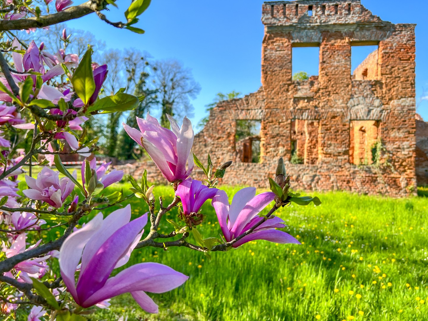 Kohut interweniuje w sprawie ruin Pałacu Eichendorffów w Łubowicach