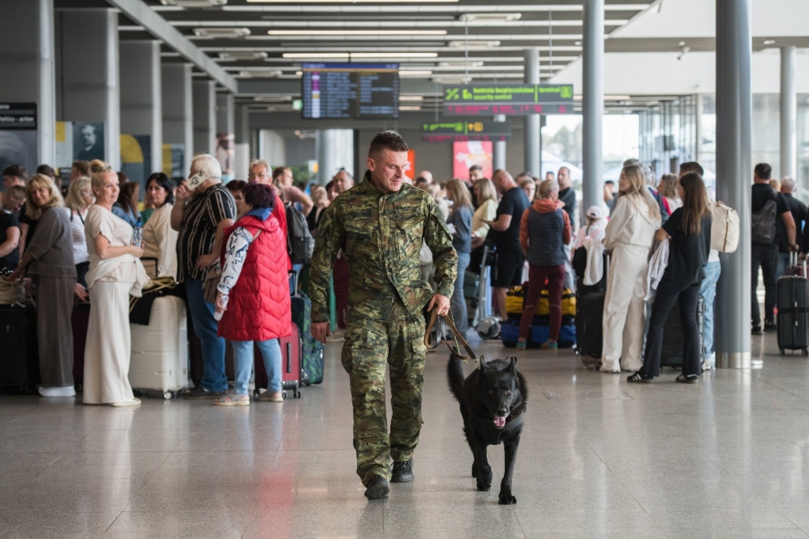 Rzucił żarcik – nie poleciał