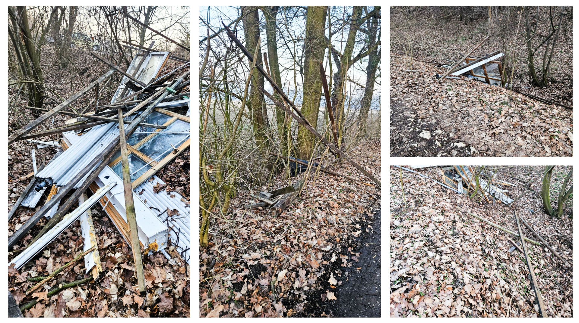 Smutne obrazki z rezerwatu Łężczok [FOTO]