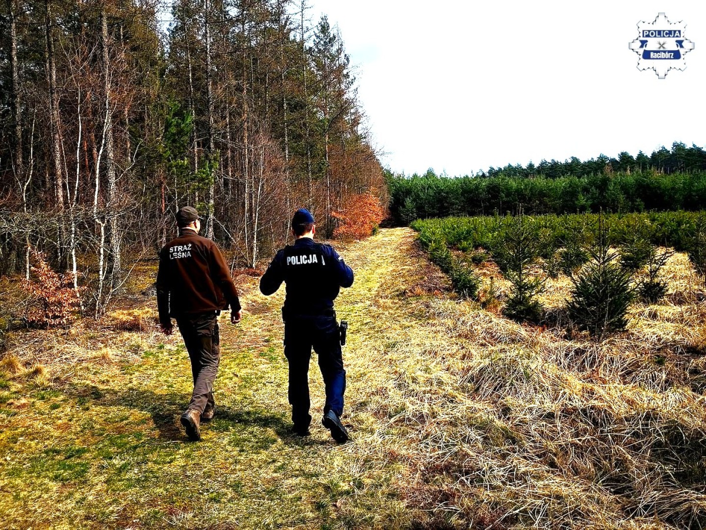 Wspólne patrole policji i straży leśnej zwiększają bezpieczeństwo w lasach