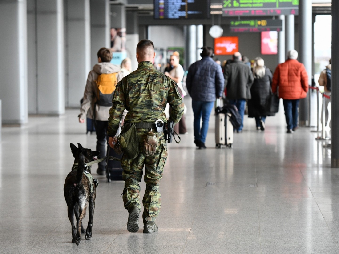 Przylecieli jednym samolotem, jutro jednym powrócą