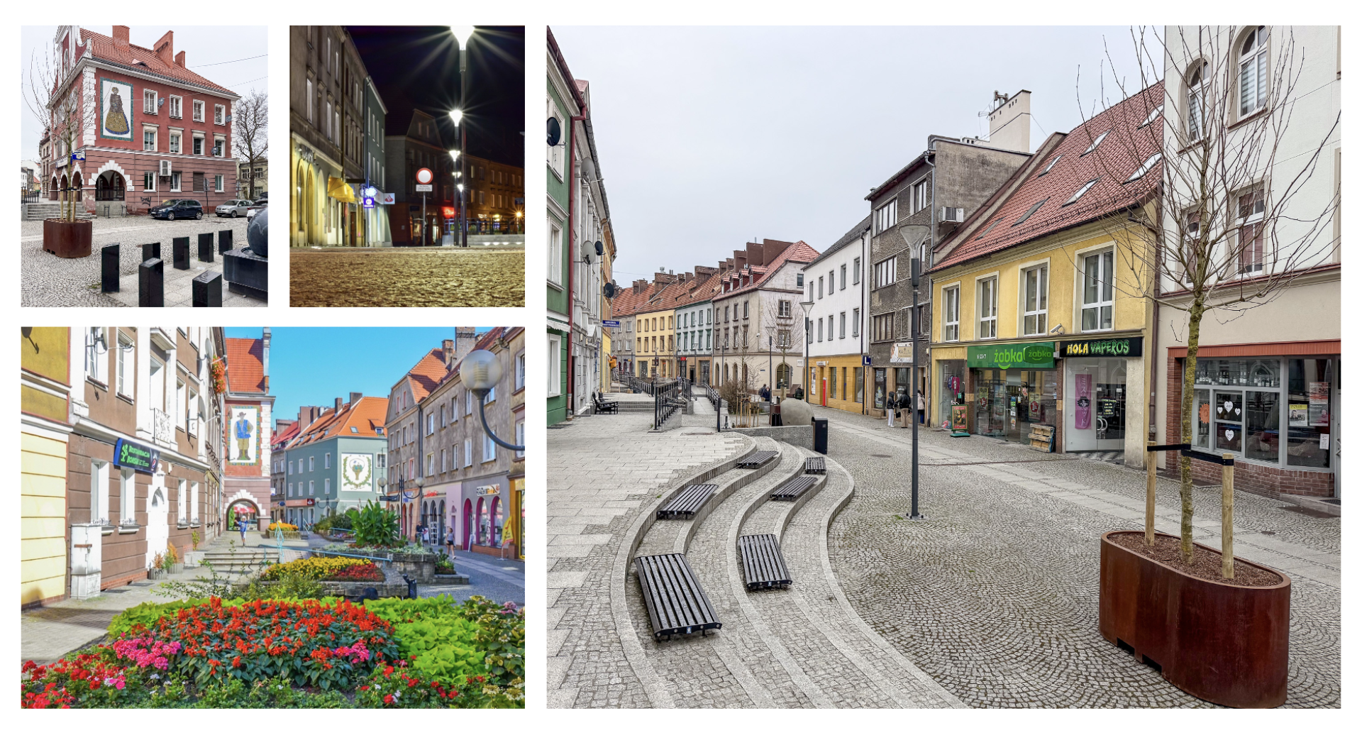 Na Długiej pojawiły się platany. Na początek w donicach, docelowo mogą trafić do gruntu [FOTO]