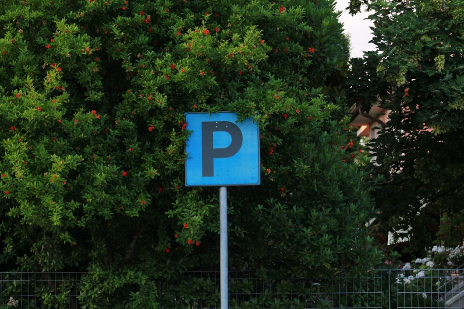 Nowoczesne oblicze parkowania, czyli jak technologia zmienia naszą codzienność