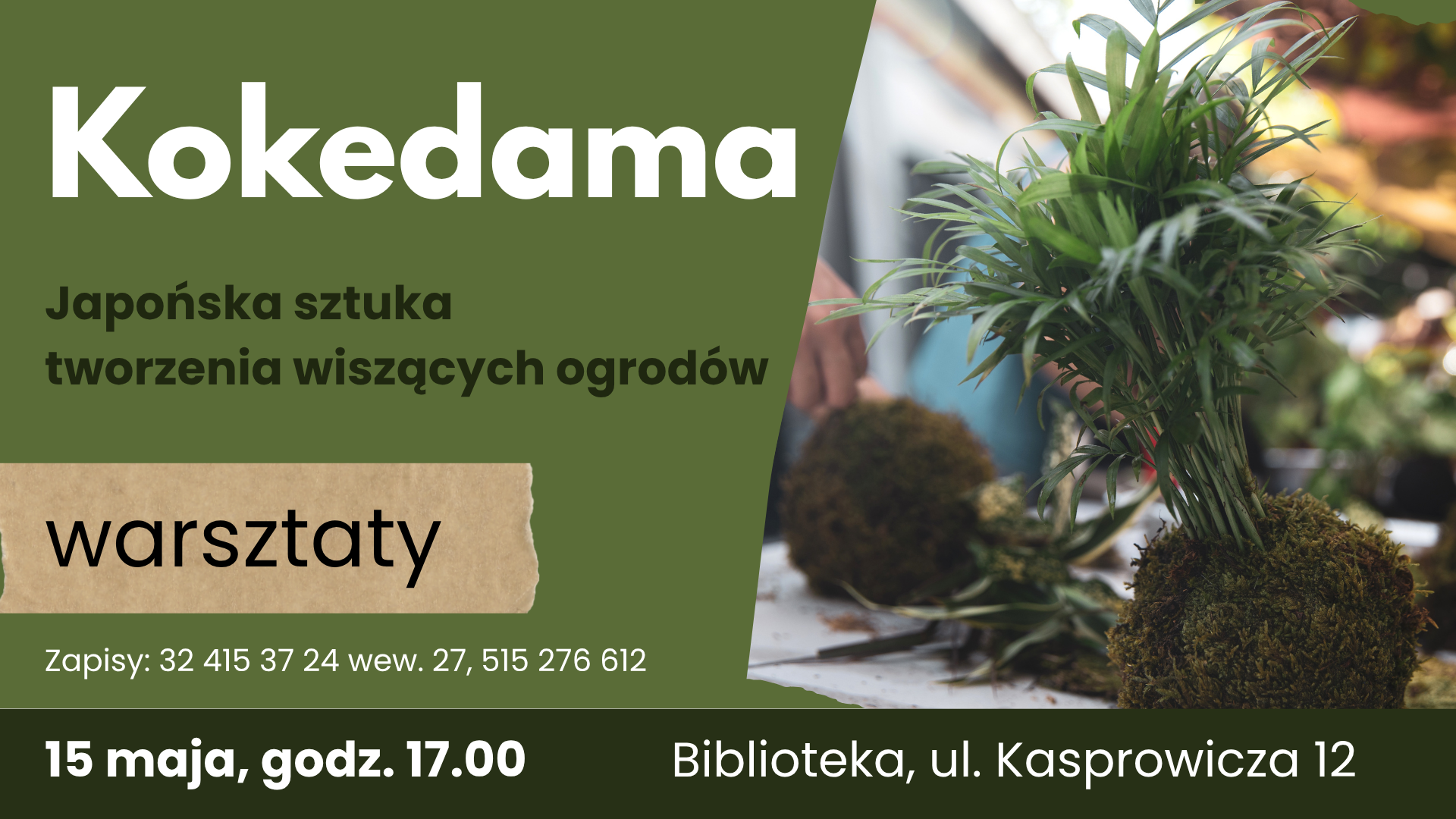 Kokedama - warsztaty tworzenia wiszących ogrodów w bibliotece. Ostatnie wolne miejsca!