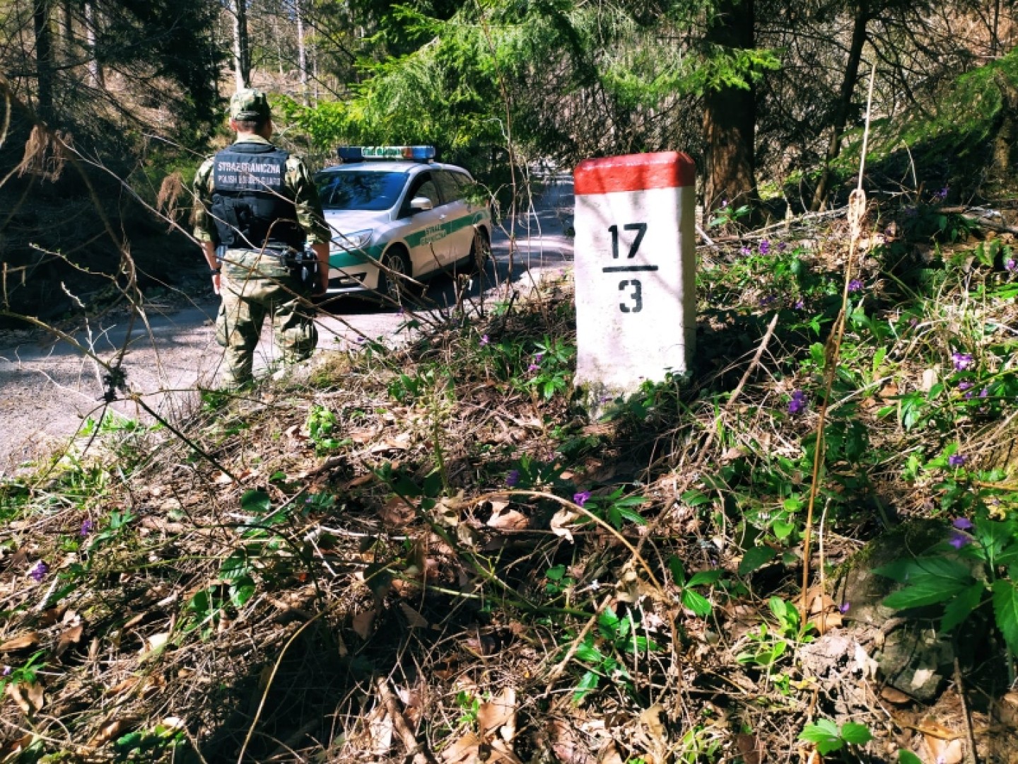 7 obywateli Serbii i 1 Indonezyjczyk zatrzymani przez opolską SG