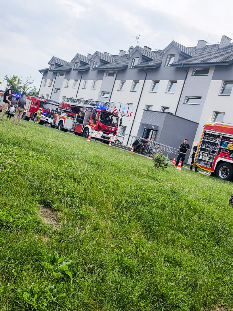 Pożar w piwnicy bloku i zalana szkoła. Pracowity początek czerwca dla strażaków