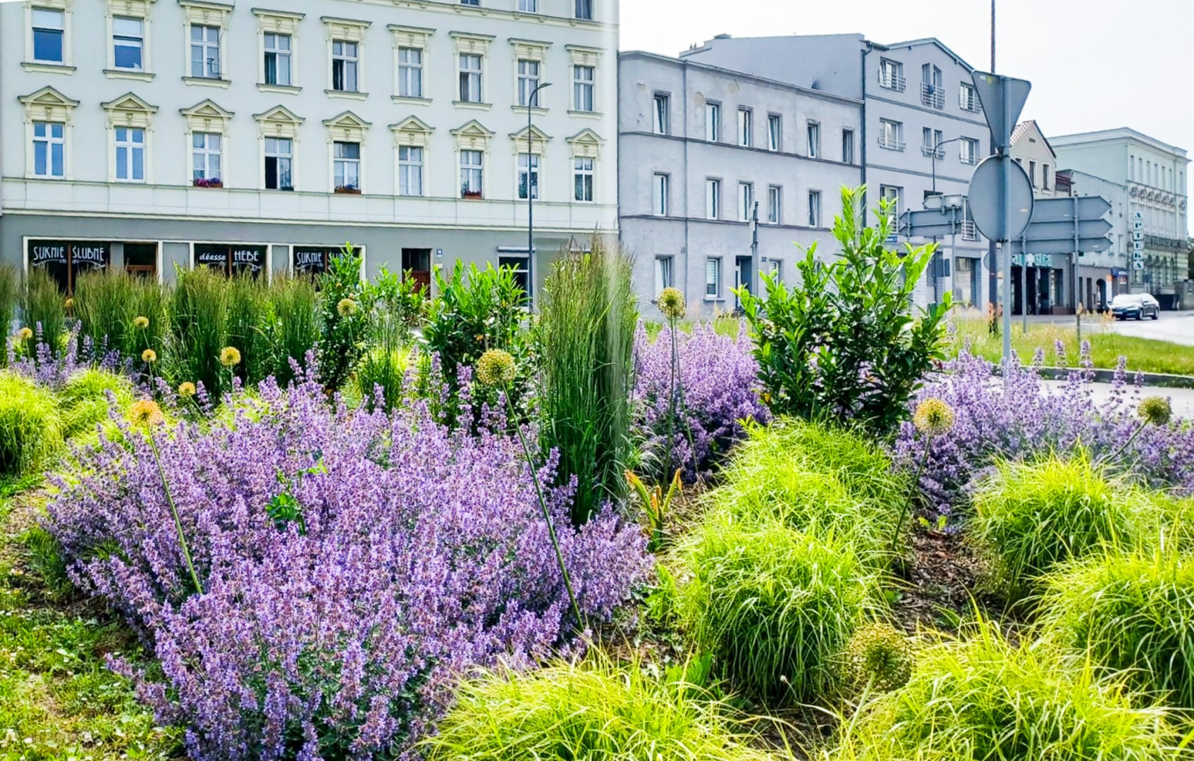 Zielona rewolucja w Raciborzu. Miasto stawia na byliny, trawy i nowe rabaty