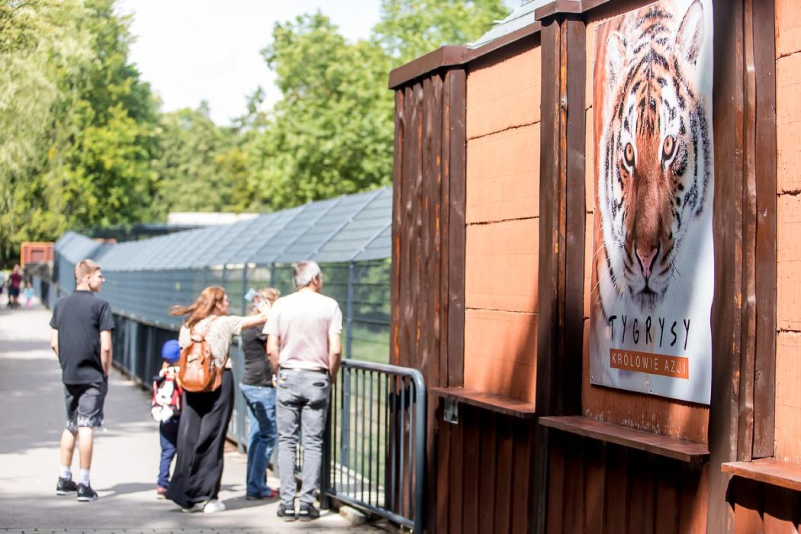 Dream Night – Wieczór Marzeń w ZOO w Chorzowie