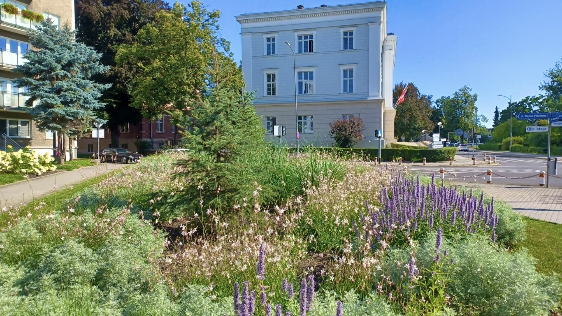 Zielona zmiana w Raciborzu. Nowe rabaty i mniej betonu