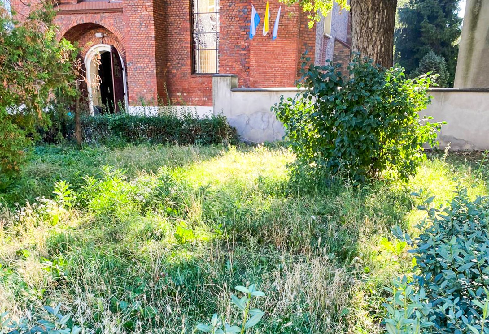 Koszenie trawników w Raciborzu. Miasto odpowiada na interpelację radnej