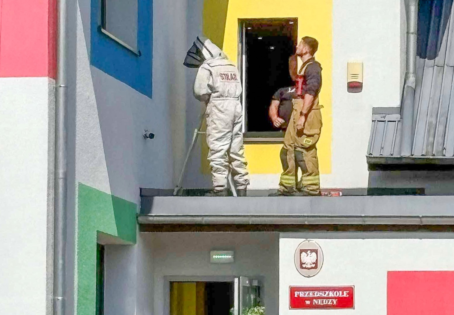 Strażacy interweniowali w trzech miejscowościach. Pożar sadzy, gniazdo os i kolizja z dzikiem