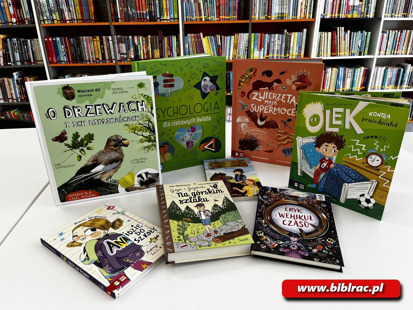 Młodzi czytelnicy, wielkie przygody! Oto najnowsze książki w bibliotece