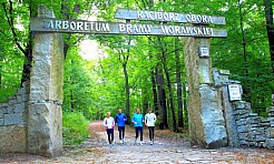 Bank roślinnych genów w Arboretum - Serwis informacyjny z Raciborza - naszraciborz.pl