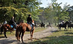 WFOŚiGW w Katowicach dał pieniądze na park w Krowiarkach - Serwis informacyjny z Raciborza - naszraciborz.pl