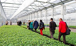 European Garden Heritage Network w Rudach - Serwis informacyjny z Raciborza - naszraciborz.pl