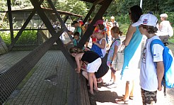 Piknik w Zaczarowanym Ogrodzie - Serwis informacyjny z Raciborza - naszraciborz.pl