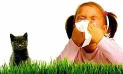 Spotkanie naukowo-szkoleniowe w szpitalu - Serwis informacyjny z Raciborza - naszraciborz.pl