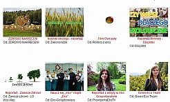 Dżojstiki z I LO proszą o wsparcie - Serwis informacyjny z Raciborza - naszraciborz.pl