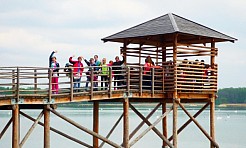 Rok z życia pewnego pietrowickiego boćka - Serwis informacyjny z Raciborza - naszraciborz.pl