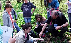 Wakacyjny spacer po Oborze. Poszukaj rzadkich gatunków roślin - Serwis informacyjny z Raciborza - naszraciborz.pl
