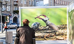 W plecaku z Naturą – propagowanie spotkań z przyrodą  - Serwis informacyjny z Raciborza - naszraciborz.pl