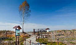 Nowe obiekty edukacyjne w rudzkich lasach - Serwis informacyjny z Raciborza - naszraciborz.pl