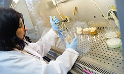 Szkółka kontenerowa ciekawym punktem na mapie gminy Nędza - Serwis informacyjny z Raciborza - naszraciborz.pl