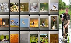 Ekolog - obserwator, czyli jak się przygotować do oglądania piękna przyrody - Serwis informacyjny z Raciborza - naszraciborz.pl