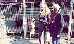 Eco Team z darami w Schronisku dla Bezdomnych Zwierząt - Serwis informacyjny z Raciborza - naszraciborz.pl